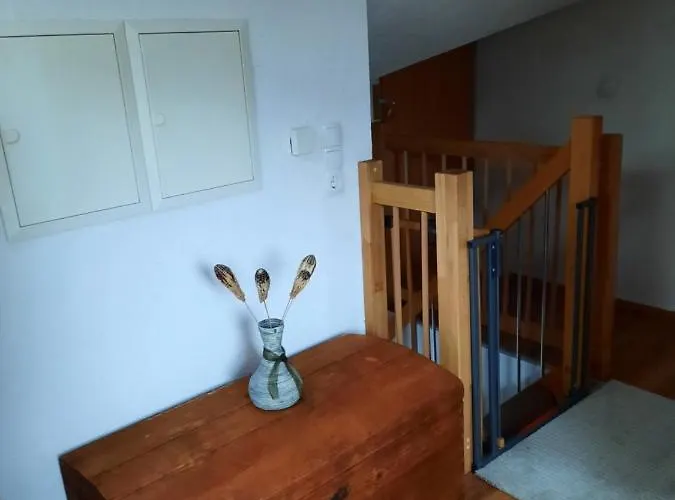 Appartement Rita Bad Mitterndorf