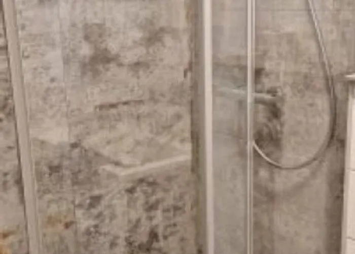 Rita Apartment Bad Mitterndorf